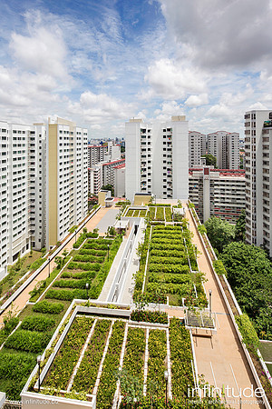 Macpherson Residency